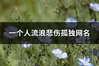 ​一个人流浪悲伤孤独网名(共313个)