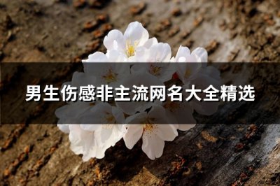 ​男生伤感非主流网名大全精选(精选324个)