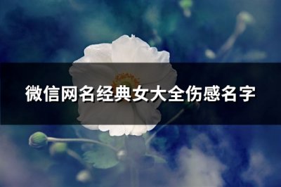 ​微信网名经典女大全伤感名字(优选361个)