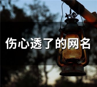 ​伤心透了的网名