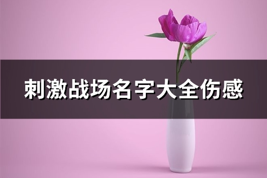 刺激战场名字大全伤感(精选332个)