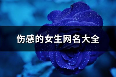 ​伤感的女生网名大全(317个)