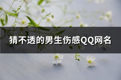 ​猜不透的男生伤感QQ网名(精选312个)