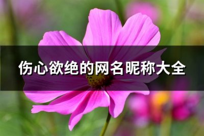 ​伤心欲绝的网名昵称大全(321个)