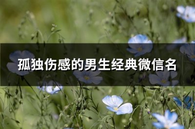 ​孤独伤感的男生经典微信名(214个)