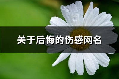 ​关于后悔的伤感网名(优选221个)