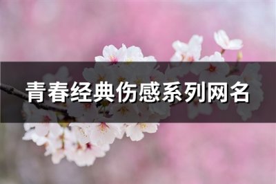 ​青春经典伤感系列网名(共211个)