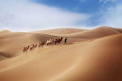 ​比较酷的朋友圈句子82句