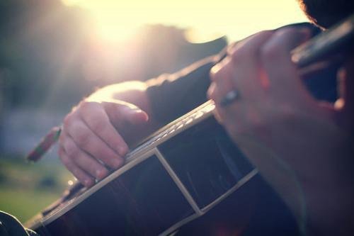 养花草的唯美句子(精选40句)