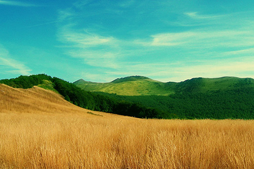 浪漫爱情英语简短句子 浪漫爱情简短句子(19句)