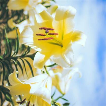 2023年公布对象文案