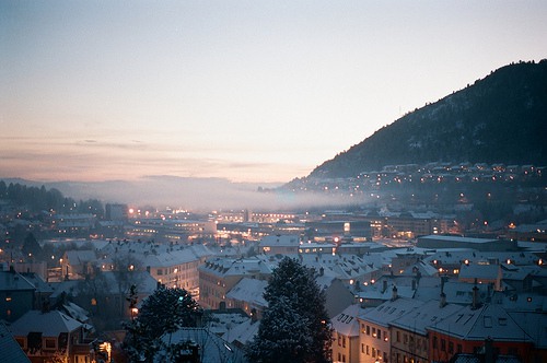 表达孝心的优美句子82句