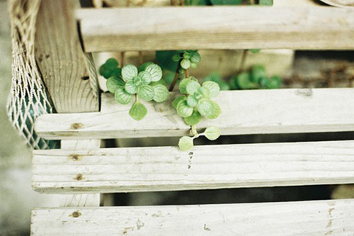 2023年七夕表白情话短句大全 七夕情话最暖心短句(精选46句)