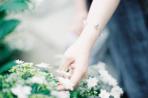 2023简短唯美的表白情话(温馨爱情朋友圈说说句子话语)