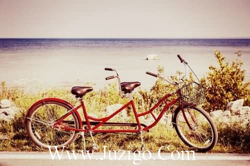 晚安心语:睡前发朋友圈温馨句子