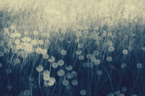 深奥的朋友圈说说86句