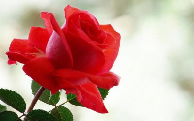 ​结婚10年朋友圈怎么发 结婚十年发朋友圈感言