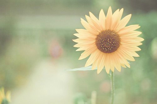 晚上发朋友圈说说85句