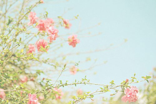 爱情保卫战主持人名言52句