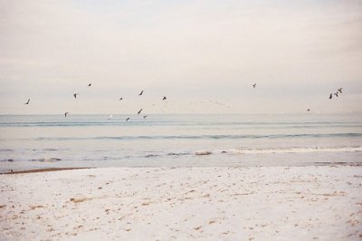 ​爱情就像手上的血泡感悟第一次的爱情你全身投入文案