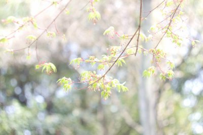​2023年关于儿童节句子说说2023年六一儿童节(精选96句)