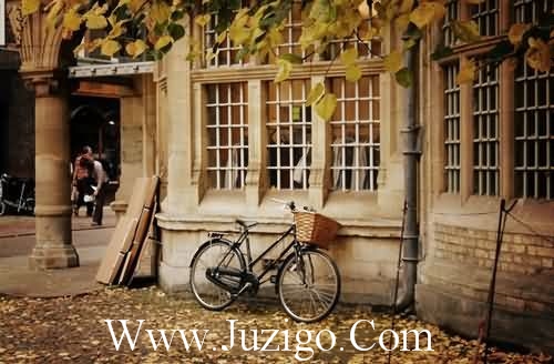 高级文艺句子 文艺高级唯美短句(67句)