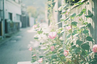 ​迷茫不知何去何从的说说(29句)