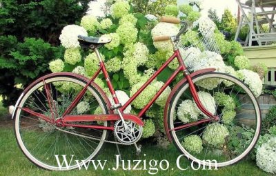 ​植树节环保文案抖音句子(收集80句)