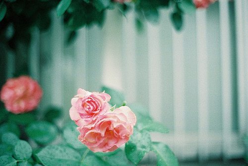 吃泡面有趣的文案句子(29句)