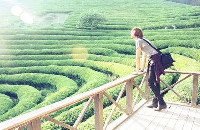 ​团结合作的谚语的句子53句