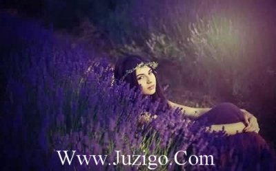 ​感恩类句子86句