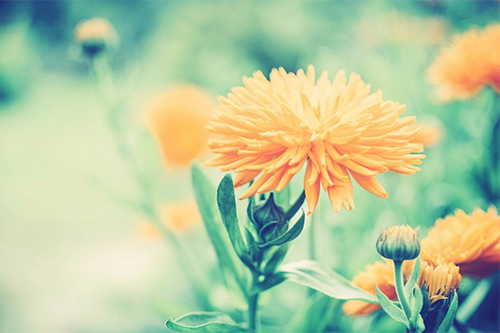 关于温暖的好句子大全