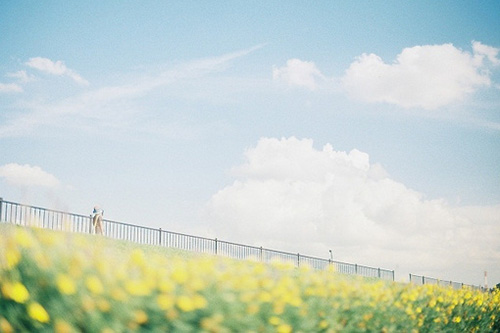 让人温暖的句子77句