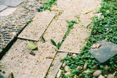 ​适用职场上的心灵鸡汤语录(精选89句)