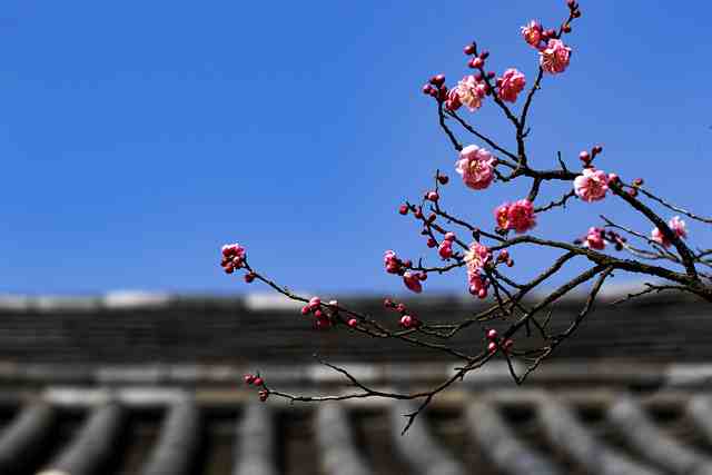 写景抒情的优美句子