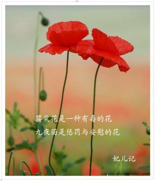 句子句句穿心