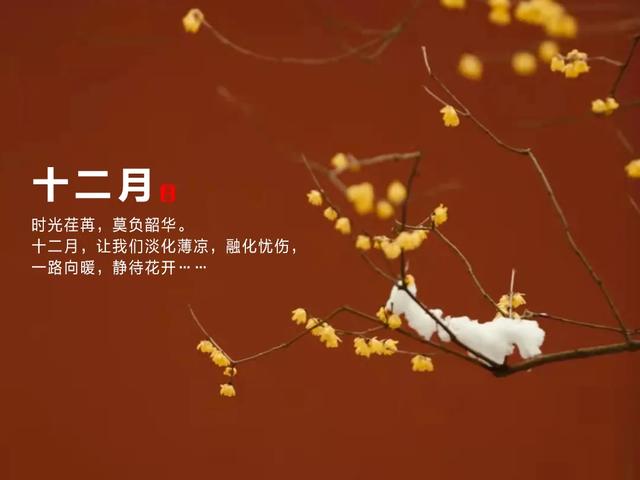关于十二月的温柔文案（十二月文案短句干净治愈）