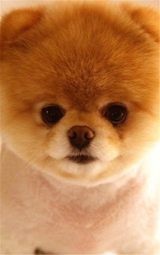 正能量的晚安句子