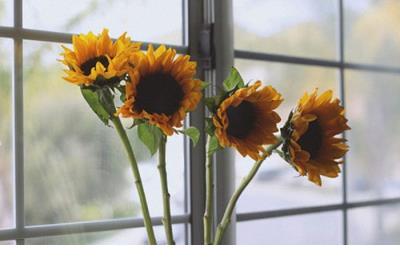 夏天热的搞笑朋友圈