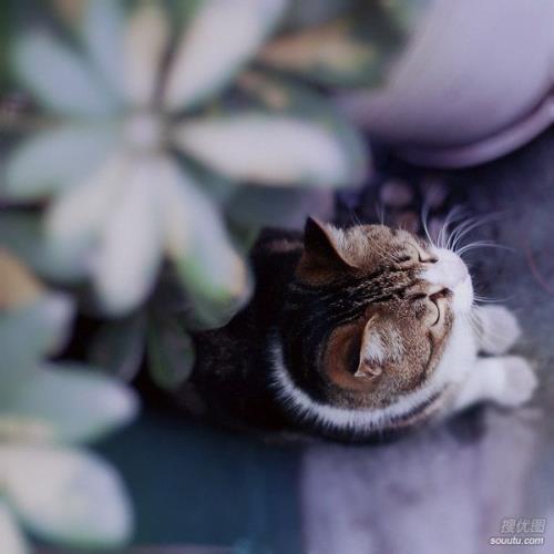 异地恋快要分手的说说