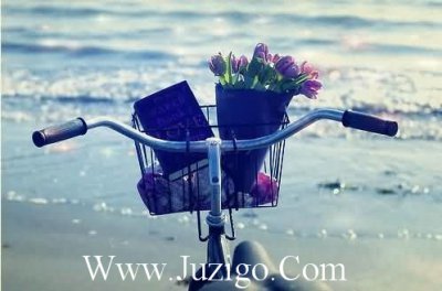 ​关于爱情的唯美短句很甜很暖的爱情说说(82句)