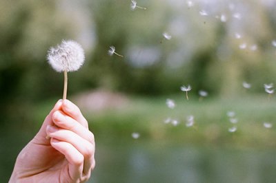 ​毕业了写给老师的话88句