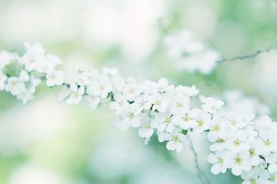 ​最霸气搞笑的生日祝福语创意幽默的生日祝福语(精选75句)