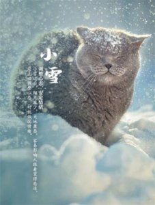 ​温暖的句子说说心情(简单安静唯美的句子)