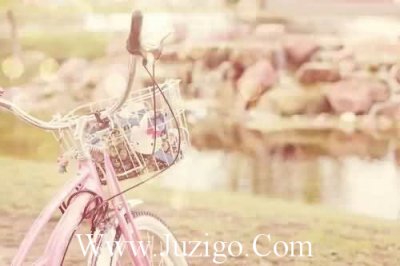 ​白酒易拉宝文案白酒易拉宝(精选20句)
