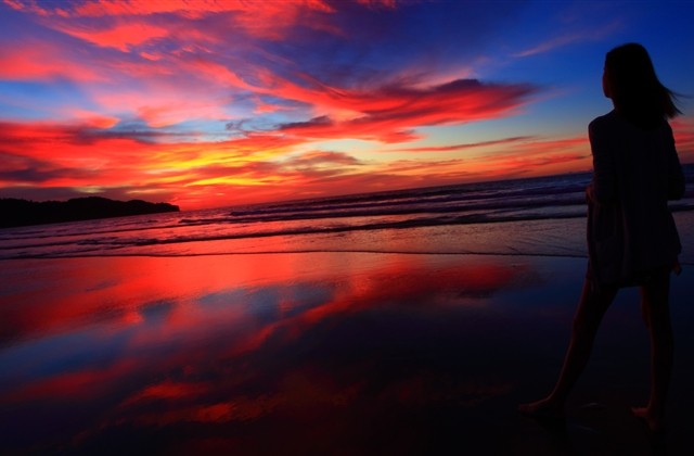 茶花女经典语录