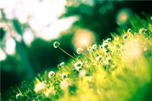 中午问好的幽默语句