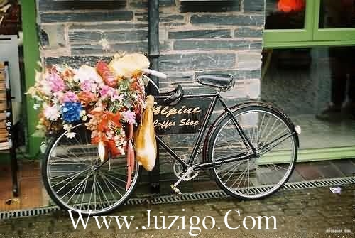 给老婆拜年祝福语2023 给老婆的祝福语(精选50句)