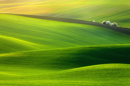 写给小孩的祝福语80句