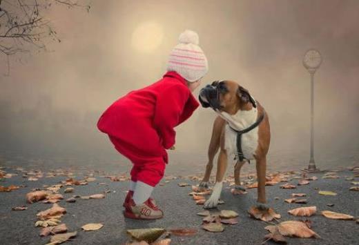 经典高冷说说带图片大全